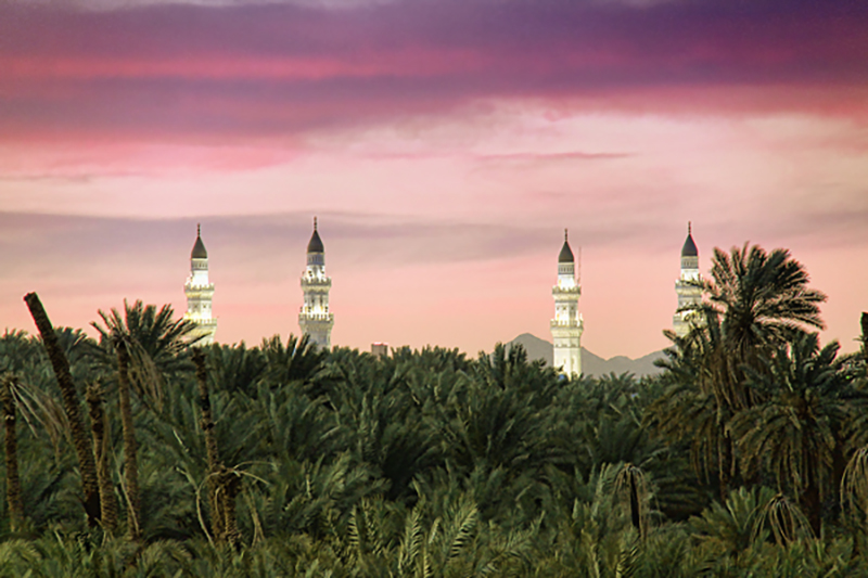 مسجد_قباء_والنخيل