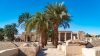8 دلائل على أن نخيل مصر أصله فرعوني