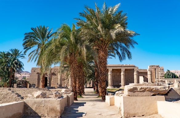 8 دلائل على أن نخيل مصر أصله فرعوني